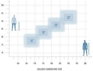 Radon JEALOUS 9.0